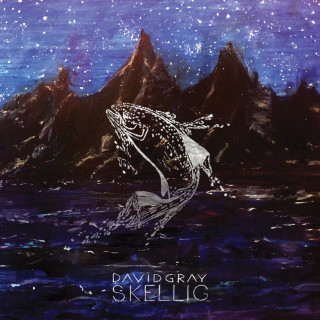 David Gray - Skellig album cover