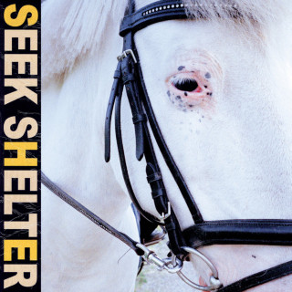 Iceage - Seek Shelter album cover