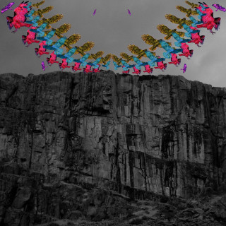 Futurebirds - Hampton's Lullaby album cover