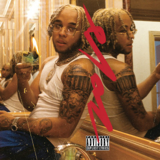 Zola - Survie album cover
