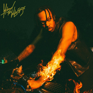 K. Forest - Welcome To The Wildfire album cover