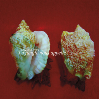 Mansfield.TYA - "La Jungle Nous Appelle" Dit-Elle single cover