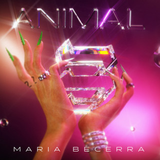 Maria Becerra - Animal album cover