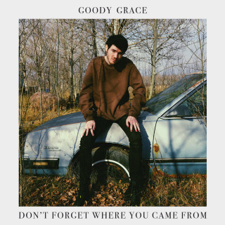 Goody Grace - Don't Forget Where You Came From album cover