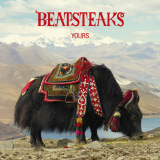 Beatsteaks - Yours album cover