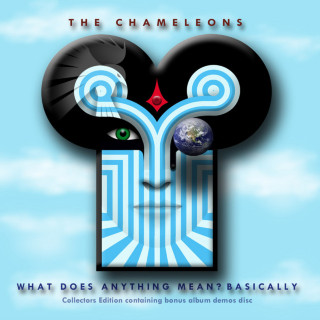 The Chameleons - What Does Anything Mean? Basically album cover
