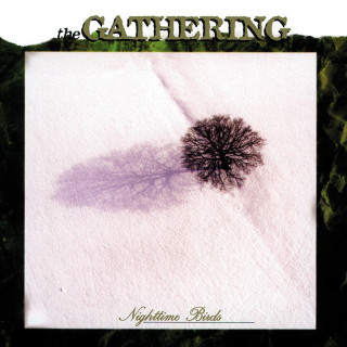 The Gathering - Nighttime Birds album cover