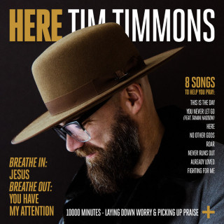 Tim Timmons - Here album cover