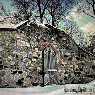 Bones & Deergod - PushingUpDaisies mixtape cover