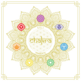 PAWBEATS - Chakra album cover