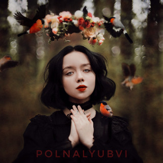 polnalyubvi - Элегия album cover
