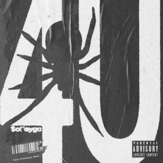 SoFaygo - 4U single cover