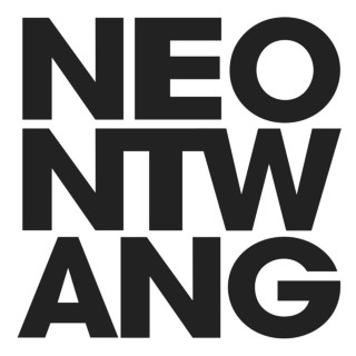The Twang - Neontwang album cover