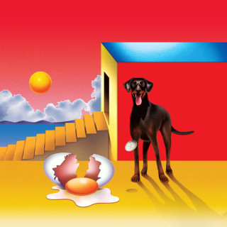 Agar Agar - The Dog And The Future album cover