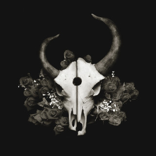 Demon Hunter - Summer Of Darkness album cover