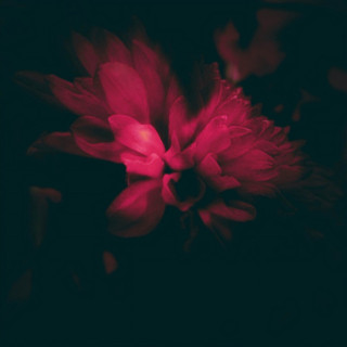 Zubi - this chapter album cover
