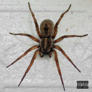 Mad Clip - Still Active album cover