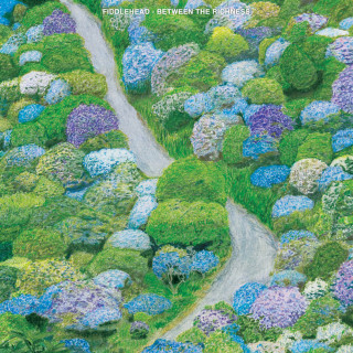 Fiddlehead - Between The Richness album cover