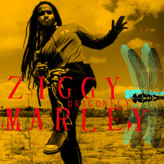 Ziggy Marley - Dragonfly album cover
