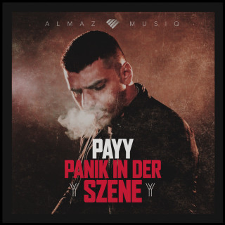 Payy - Panik In Der Szene mixtape cover
