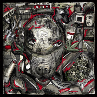 Haze - TagMond album cover