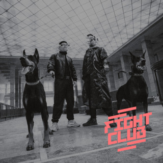 PRO8L3M - Fight Club album cover