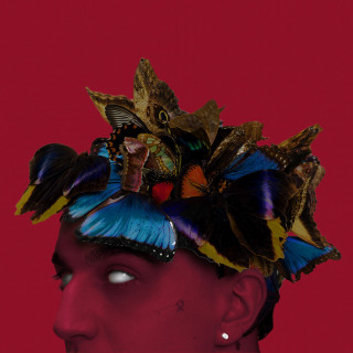 Sobel - Pułapka Na Motyle album cover