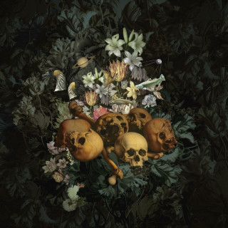 Mujuice - Downshifting album cover