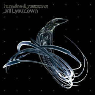 Hundred Reasons - Kill Your Own album cover