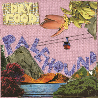 Palehound - Dry Food album cover