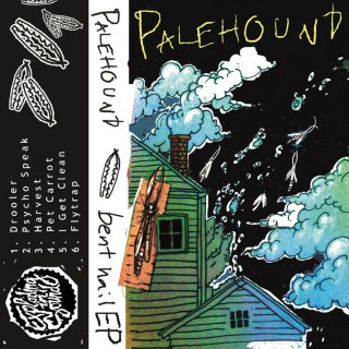 Palehound - Bent Nail EP cover