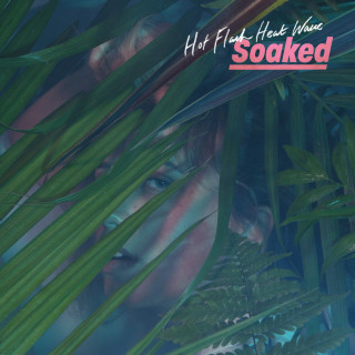 Hot Flash Heat Wave - Soaked album cover