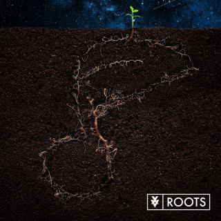 XV - Roots single cover