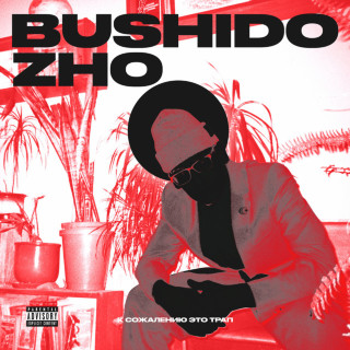 BUSHIDO ZHO - К Сожалению Это Трап EP cover
