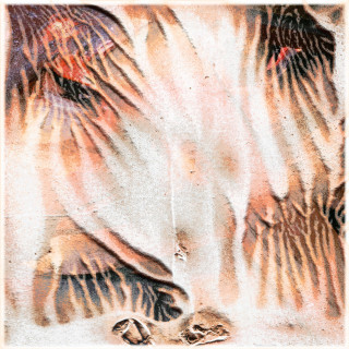 Bedroom - Stray album cover