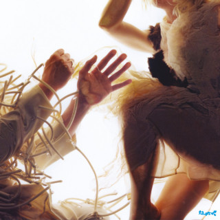 LUMP - Animal album cover