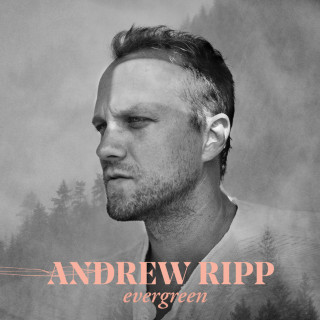 Andrew Ripp - Evergreen album cover