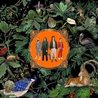 Don Broco - Amazing Things album cover