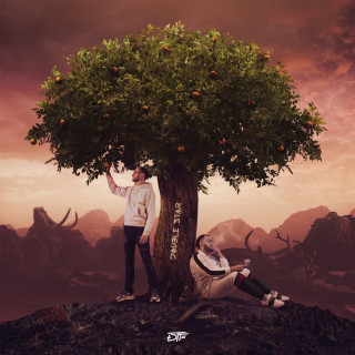 DTF - Double Star album cover