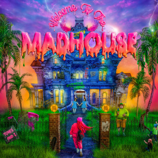 Tones And I - Welcome To The Madhouse album cover