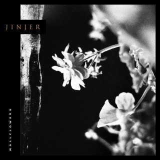 Jinjer - Wallflowers album cover
