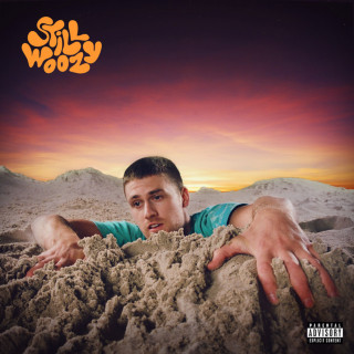 Still Woozy - If This Isn't Nice, I Don't Know What Is album cover