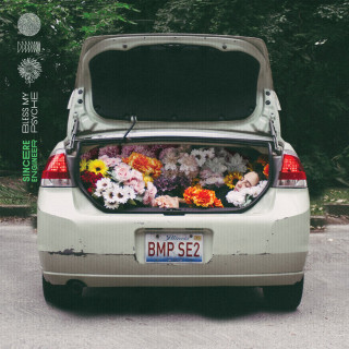 Sincere Engineer - Bless My Psyche album cover