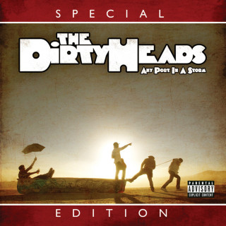 Dirty Heads - Any Port In A Storm album cover