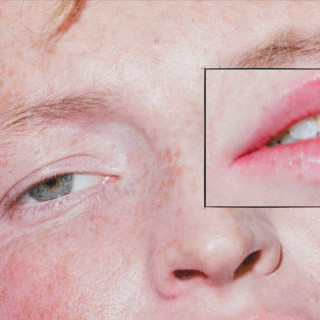 The Greeting Committee - Dandelion album cover