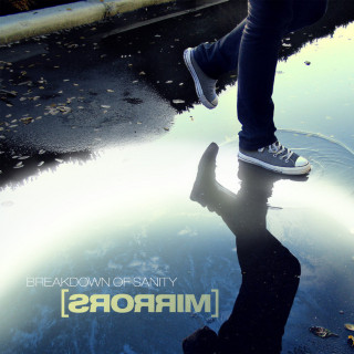 Breakdown Of Sanity - Mirrors album cover