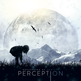 Breakdown Of Sanity - Perception album cover