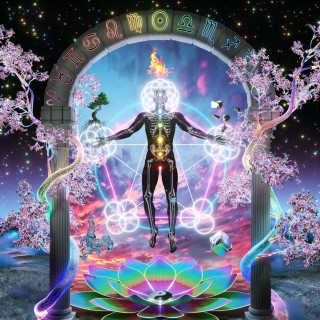 GRiZ - Rainbow Brain album cover
