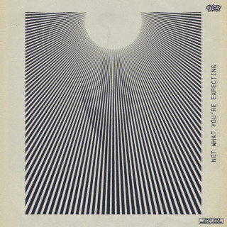 CJ Fly - Not What You're Expecting album cover
