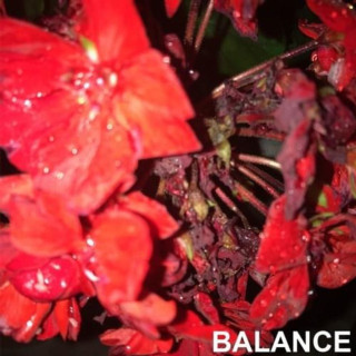 Rxseboy - Balance album cover
